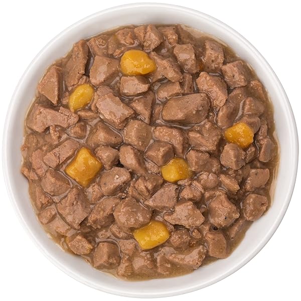 BEYOND DRY CAT PURINA GRAIN FREE SALMON AND SWEET POTATO RECIPE CAN, 3 OZ,12 CANS