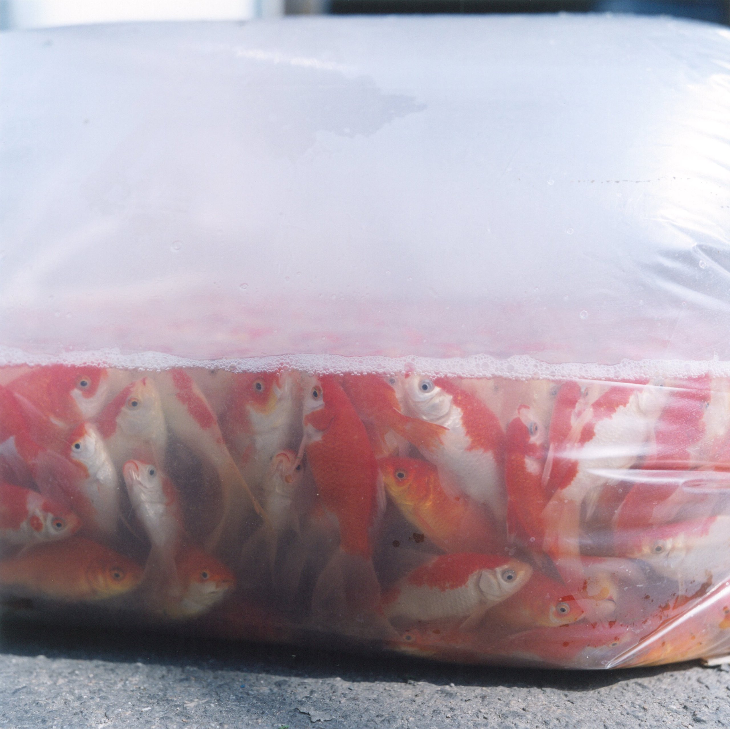 Rinko Kawauchi Illuminance Ametsuchi Seeing Shadow Tetsuro Ishida Amazon Com Books