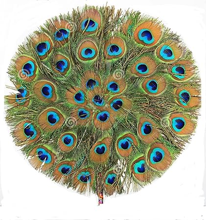 Urvi Creations Peacock Feather Fan (12 x 18 inch, Multicolour)