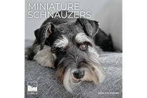 2026 Miniature Schnauzers Wall Calendar 12 Month | 12" x 24" Open | Dog Photography Thick & Sturdy Paper for Organizing & Planning | Office Kitchen Decor or Gift | Pacific Waters Press (Miniature Schnauzers)
