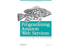 Programming Amazon Web Services: S3, EC2, SQS, FPS, and SimpleDB