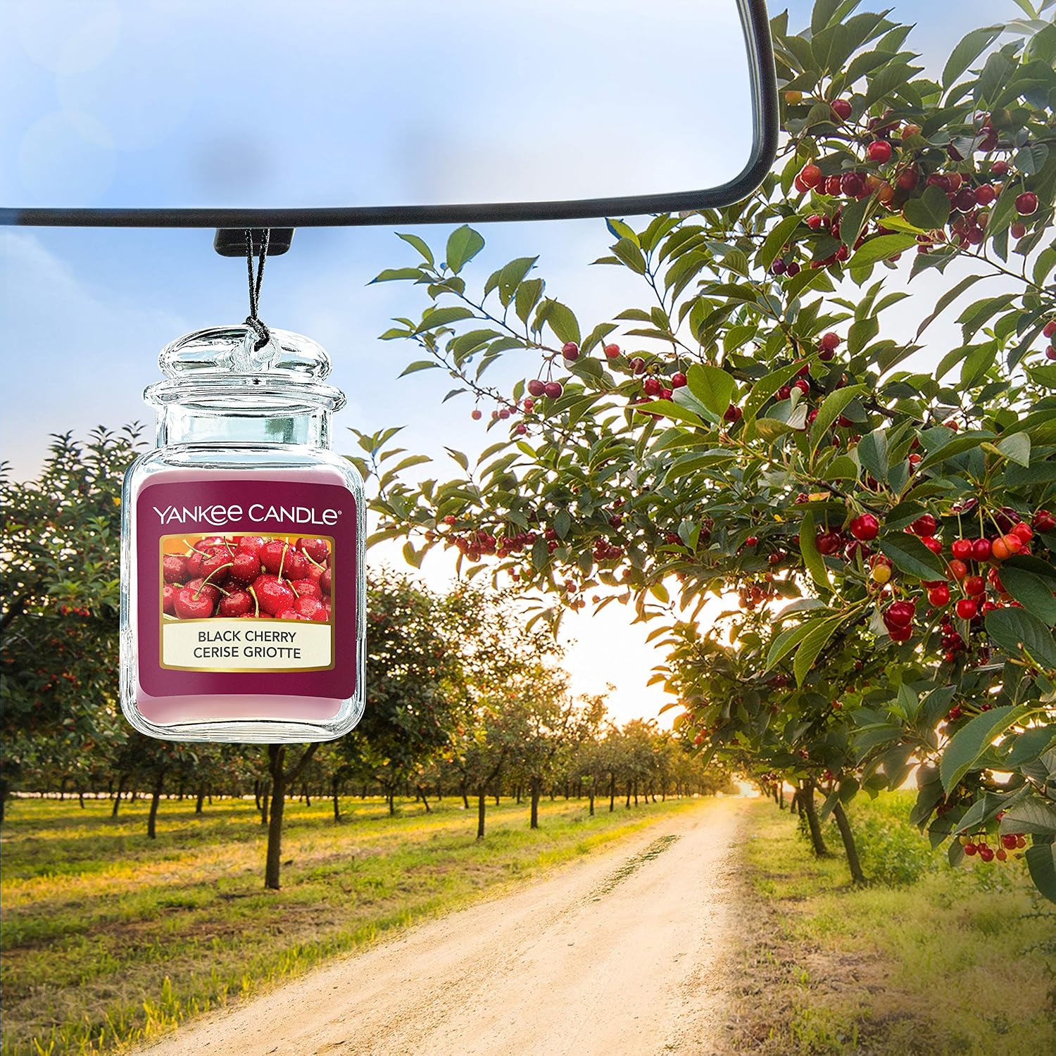 Yankee Candle Car Jar Ultimate Scented Air Freshener, BLACK CHERRY - Image 4