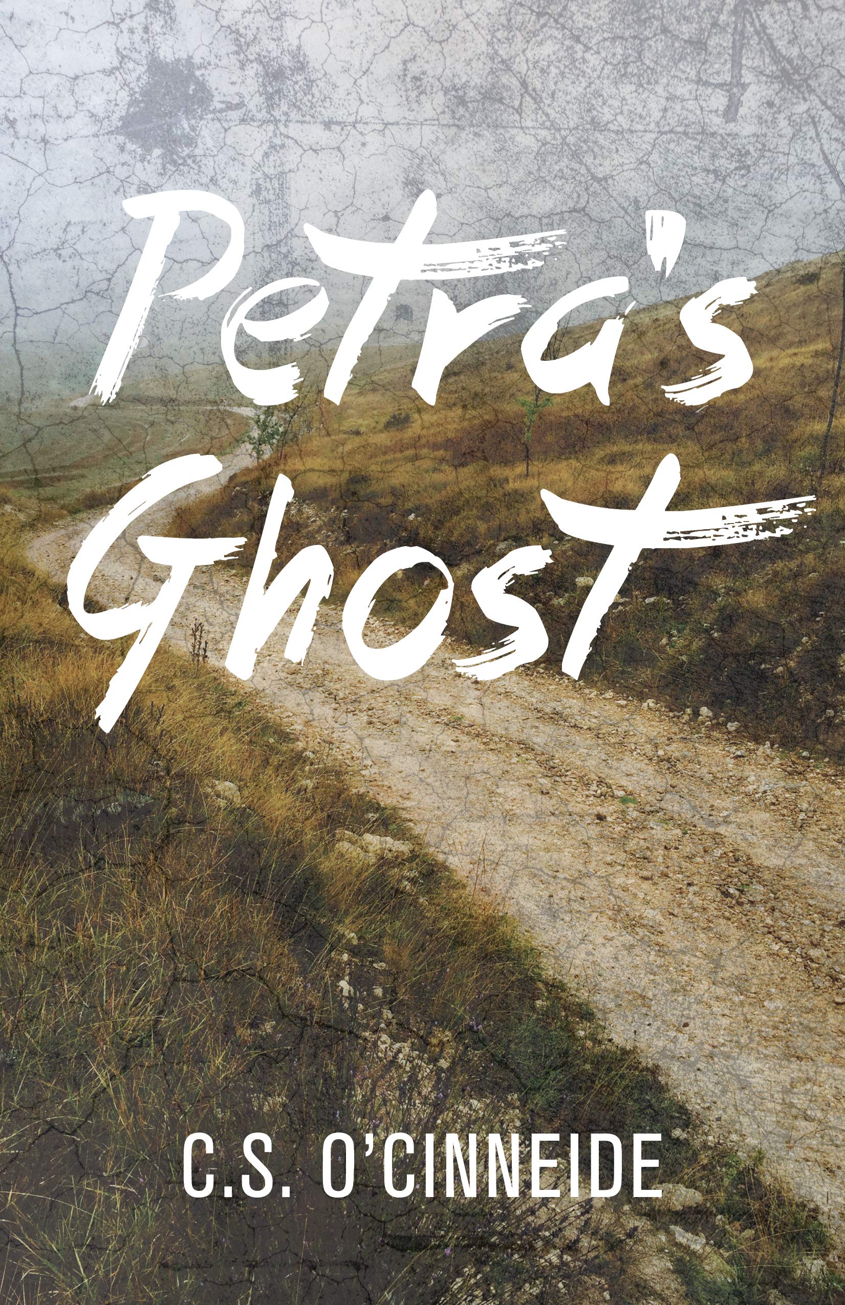 Petra S Ghost C S O Cinneide 9781459744684 Amazon Com Books