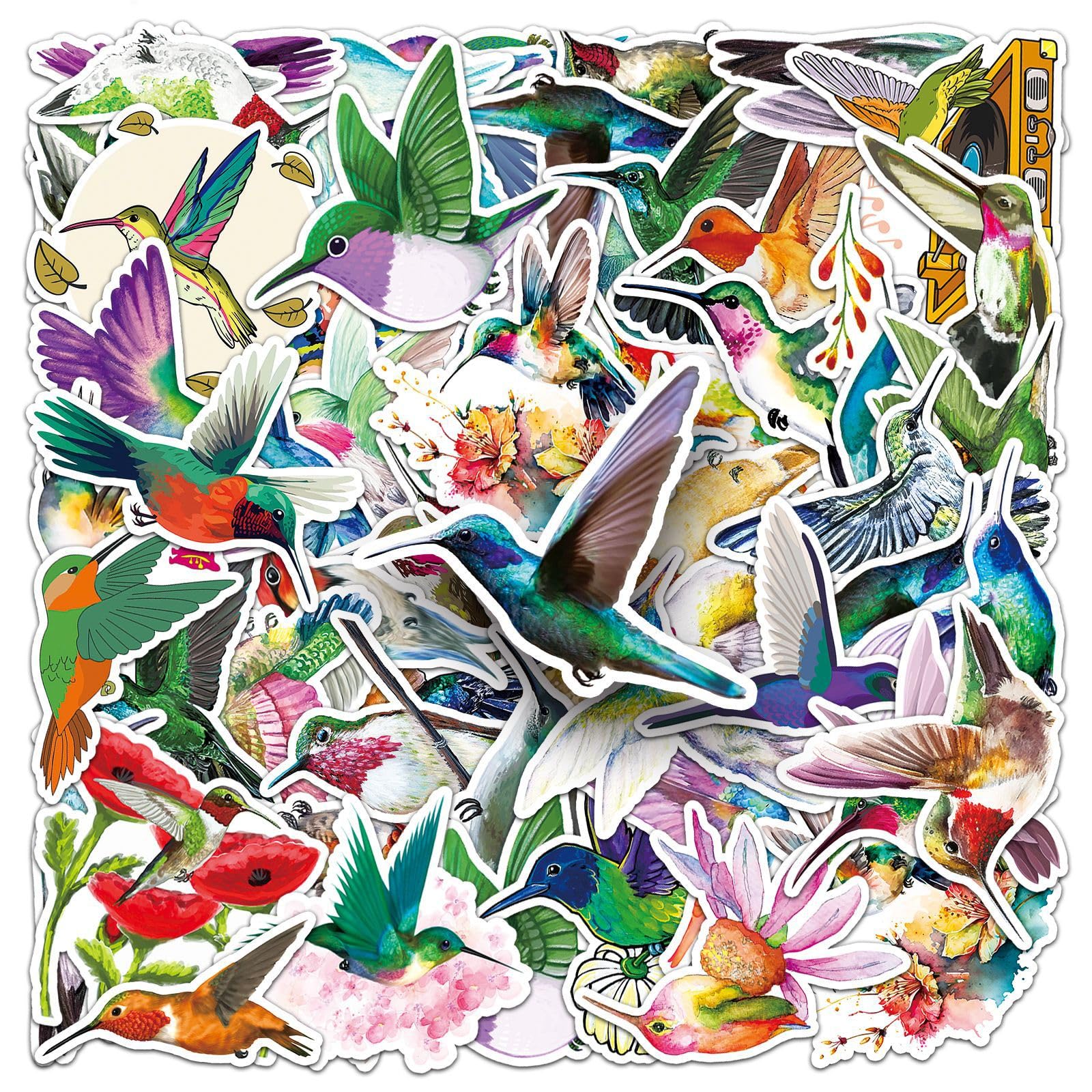 Hummingbird Stickers 50 Pcs Waterproof Cartoon Bird Sticker for Water Bottle Laptop Car Skateboard Guitar LuggageComputer Scrapbook Bike Phone,Vinyl Cute Funny Animal Sticker for Teens Adults