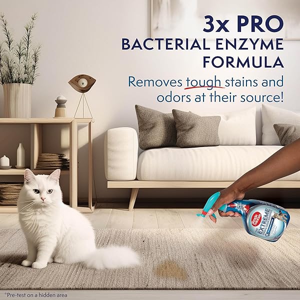 SIMPLE SOLUTION EXTREME PET STAIN AND ODOR ELIMINATOR SPRAY FOR DOGS & CATS, ENZYME CLEANER WITH 3X PRO-BACTERIA CLEANING POWER- STRONG URINE PEE & POOP CARPET & FLOOR STAIN REMOVER, 32 OZ (PACK OF 2)