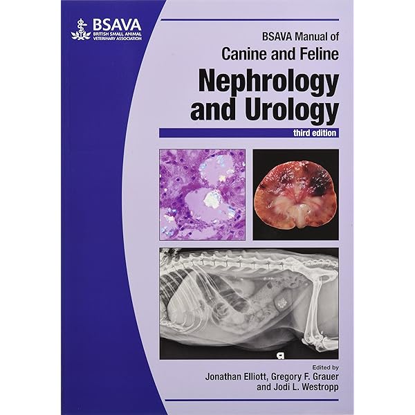 Canine and Feline Respiratory Medicine: Johnson, Lynelle R