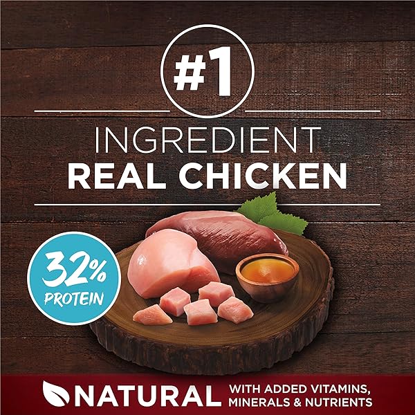 PURINA ONE TRUE INSTINCT WITH REAL CHICKEN AND DUCK HIGH PROTEIN PUPPY FOOD FORMULA NATURAL WITH ADDED VITAMINS, MINERALS AND NUTRIENTS – 7.4 LB. BAG