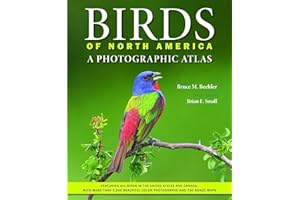 Birds of North America: A Photographic Atlas