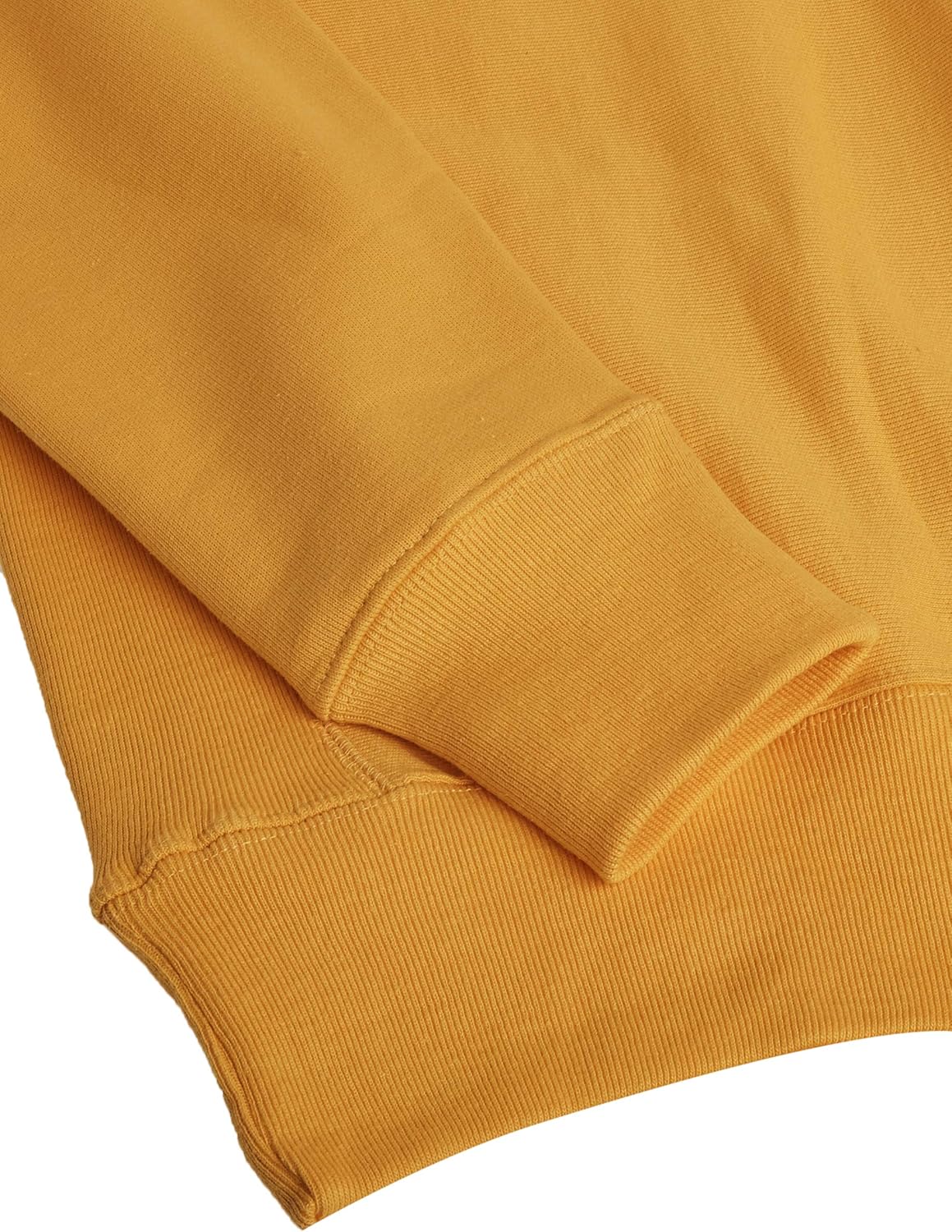 Champion LIFE Men's Reverse Weave Sweatshirt: Clothing