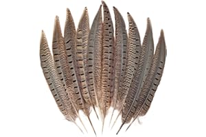 FeelfunFeather 5pcs Pheasant Feather 8-10inch 20-25cm Natural Male Ringneck Tails Feathers for DIY Crafts Home Wedding Party Carnival Decoration