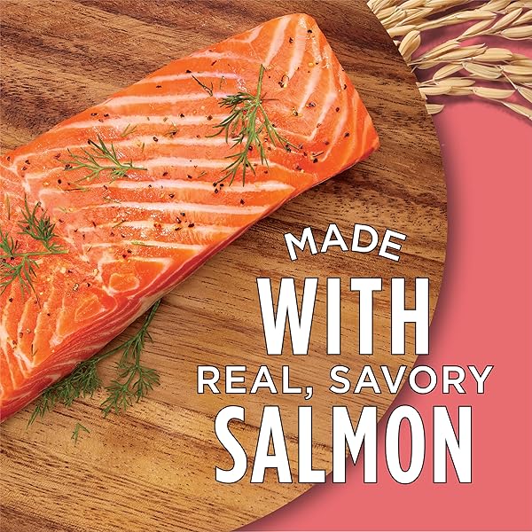 PURINA CAT CHOW COMPLETE HIGH PROTEIN DRY CAT FOOD WITH REAL SALMON – (PACK OF 4) 3.15 LB. BAGS