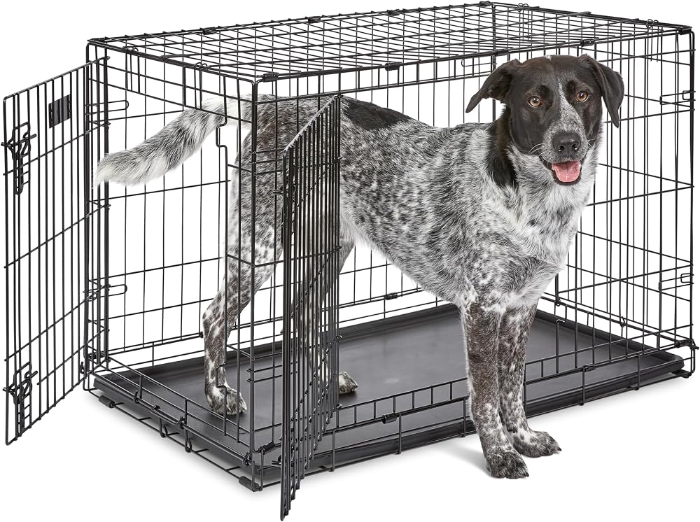 MidWest iCrate 36 Inch Two-Door Folding Dog Crate with Divider Panel