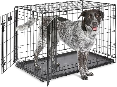 MidWest iCrate 36 Inch Two-Door Folding Dog Crate with Divider Panel