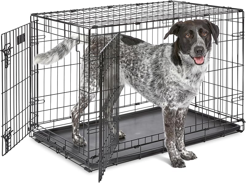 MidWest iCrate 36 Inch Two-Door Folding Dog Crate with Divider Panel