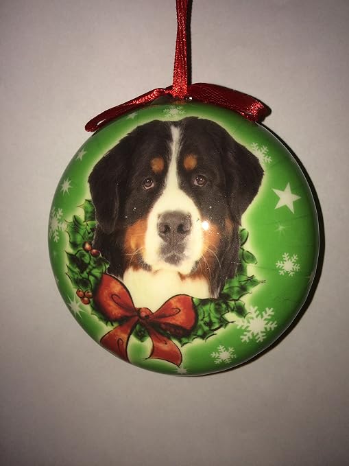Boule De Noël Pour Chien Bouvier Bernois Avec Background