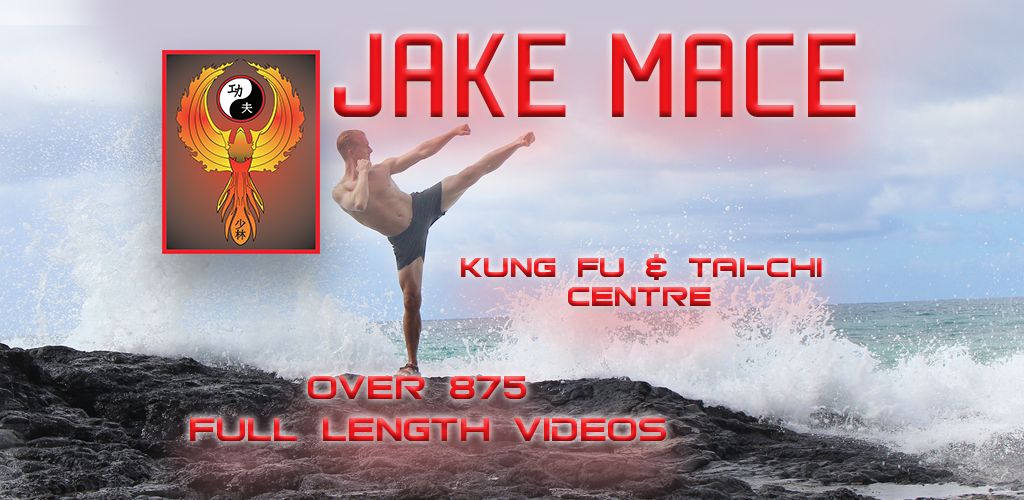 Jake Mace Kung Fu & Tai-Chi