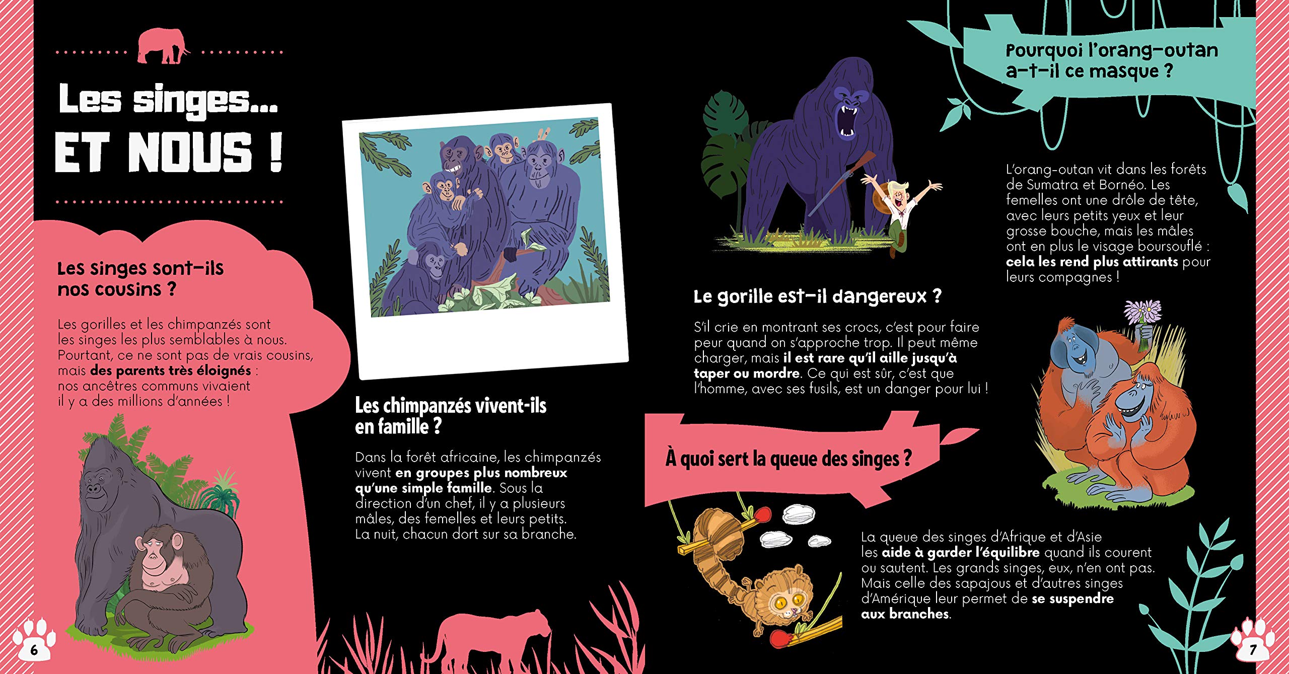 Dis pourquoi Les animaux sauvages: Mathivet, Eric: 9782017866589 