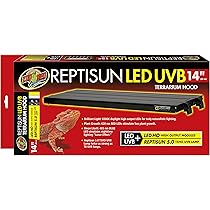 vegetable dye for dogs