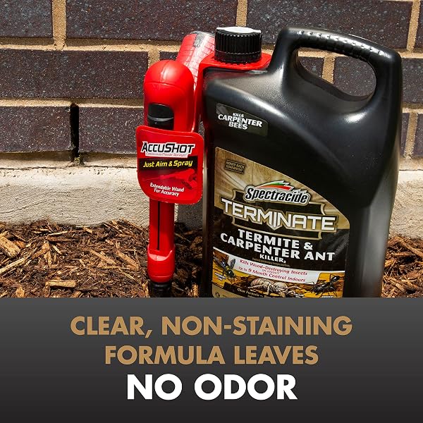SPECTRACIDE TERMINATE TERMITE & CARPENTER ANT KILLER, 1.33 GALLONS, WITH ACCUSHOT SPRAYER INDOOR AND HOME BARRIER TREATMENT KILLS TERMITES, CARPENTER ANTS, CARPENTER BEES AND OTHER LISTED INSECTS ON CONTACT AND STOPS SPIDERS, ROACHES, FLEAS AND TICKS