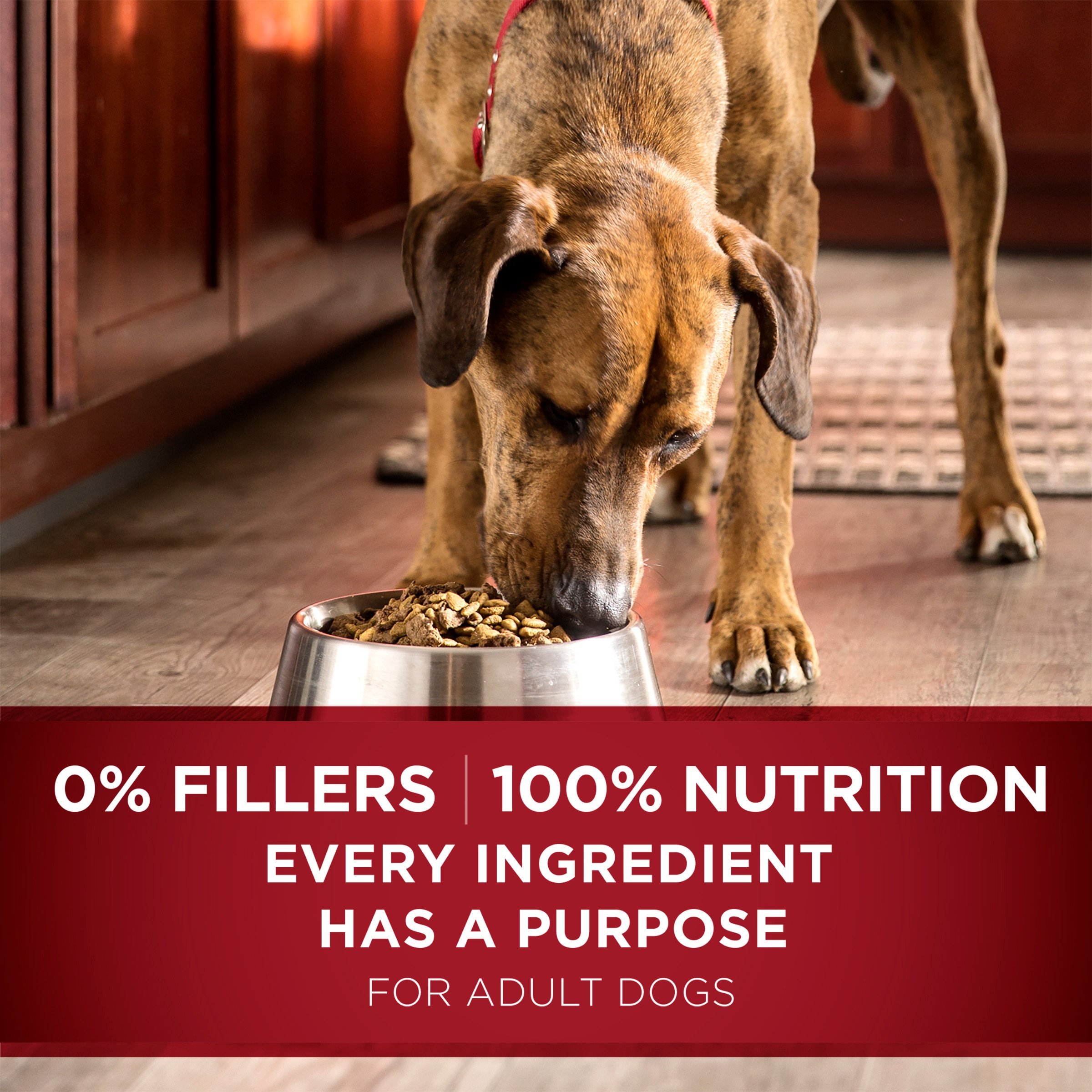 Purina ONE SmartBlend True Instinct Natural With Real Turkey & Venison Adult Dry Dog Food - Image 8