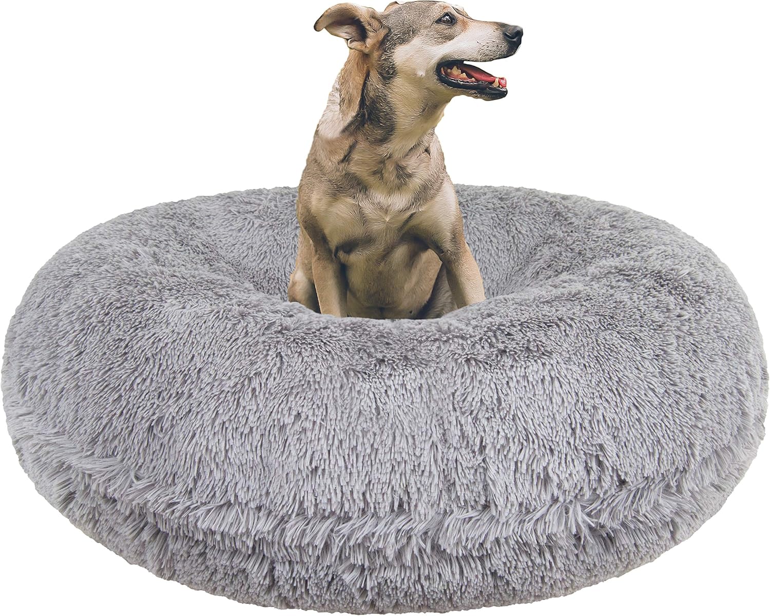bessie and barnie bagel bed