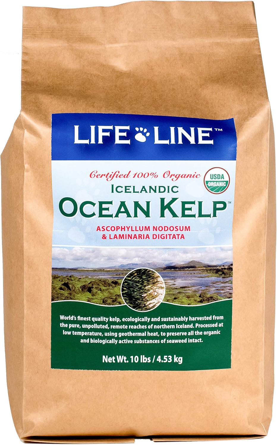 ocean kelp for dogs