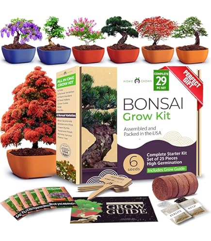 Amazon.com: Green Grow Buddha Master Bonsai Tree Growing Kit - Professional  Growing and Styling Set - Japanese Small Tree - Become Master - Ideal Tree  Seed Kit for Indoor Garden Gardening :