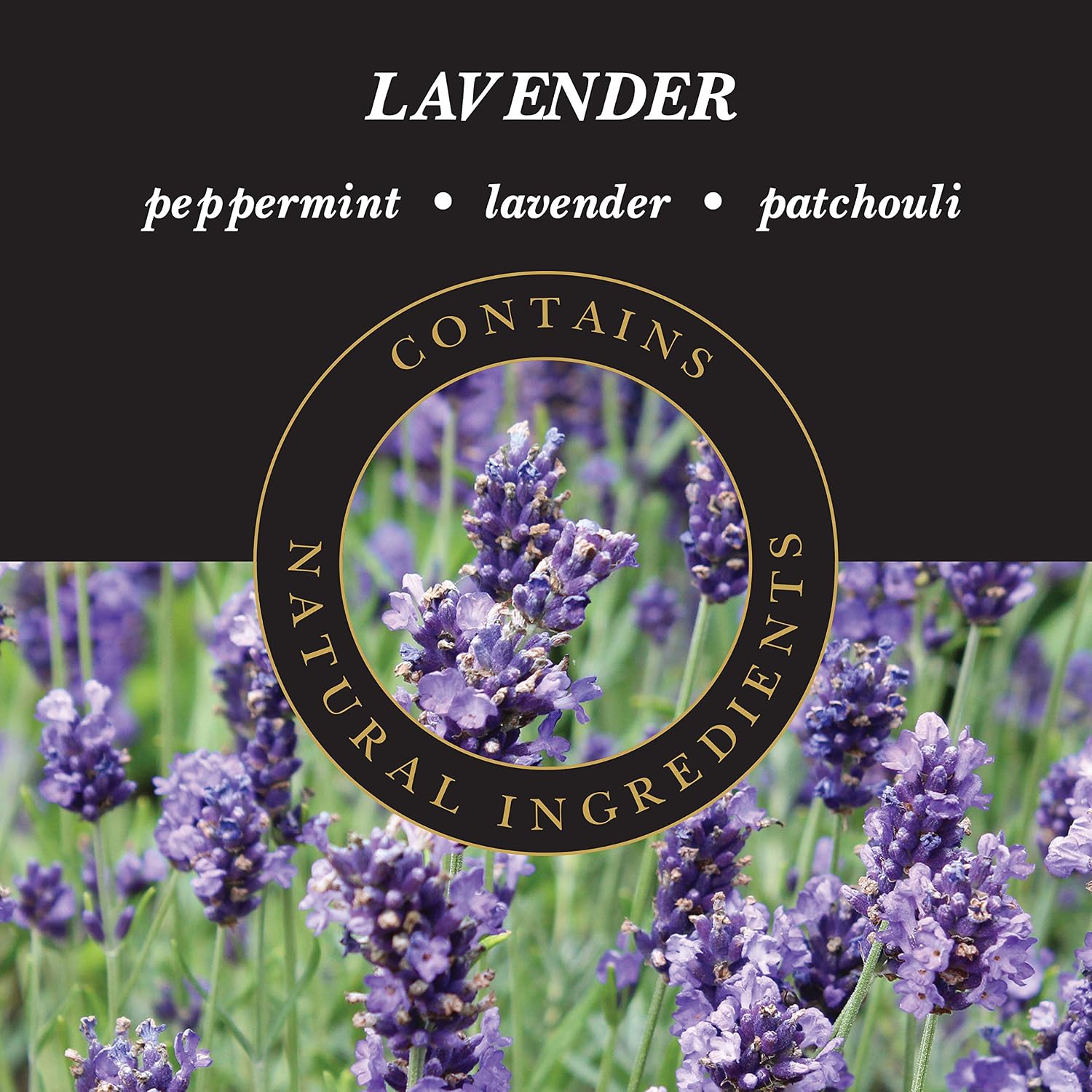 Ashleigh & Burwood Lamp Fragrance Oil, Lavender, 1000ml, Clear, 1 l (Pack of 1) - Image 4