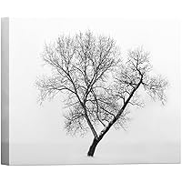 SIGNWIN Canvas Wall Art A Wisdom Tree in a Frozen Lake Nature Wilderness Photography Modern Art Contemporary Dramatic Black and White for Living Room, Bedroom, Office - 12x18 inches