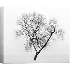 SIGNWIN Canvas Wall Art A Wisdom Tree in...
