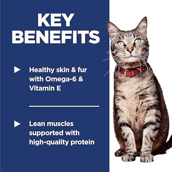 HILL’S SCIENCE DIET ADULT 1-6, ADULT 1-6 PREMIUM NUTRITION, DRY CAT FOOD, CHICKEN RECIPE, 16 LB BAG