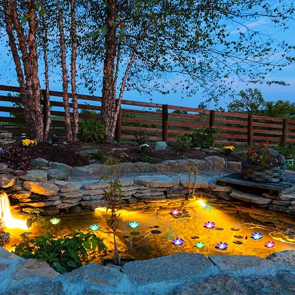 The 7 Best Pond Lights of 2021 You Should Know Before Buying