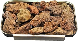 Brotzutaten Schwadentool