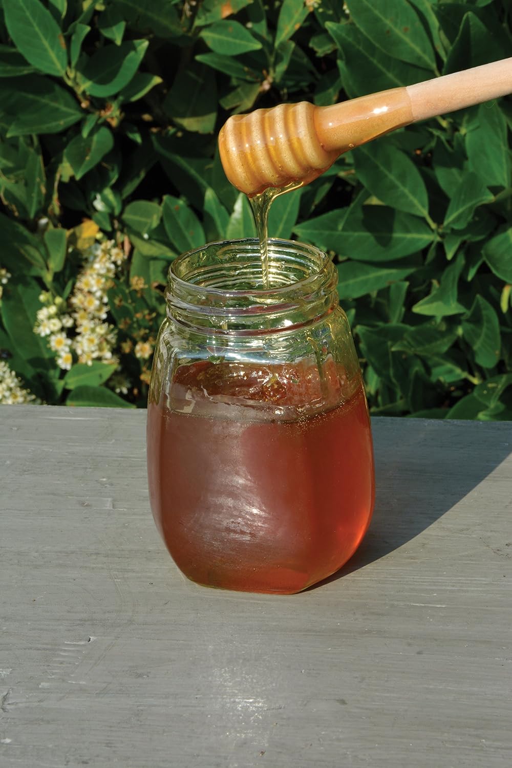Fallen Fruits Honey Dipper - Image 4