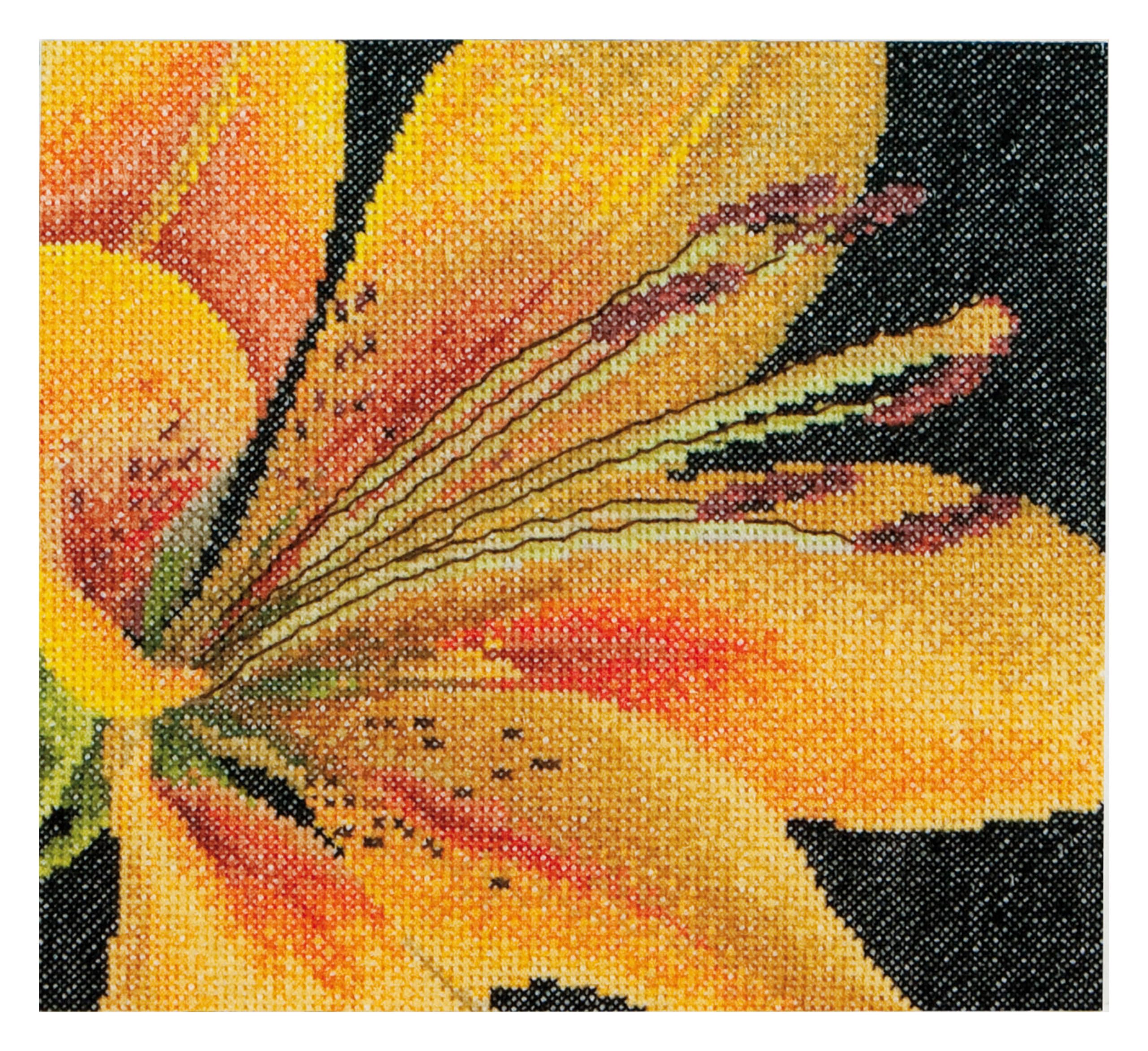 Thea Gouverneur - Counted Cross Stitch Kit - Embroidery Kit - 486A - Pre-Sorted DMC Threads - Lily - Aida - 5.9 x 5.5inch - DIY Kit