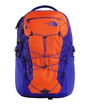 blue and purple north face backpack 