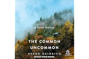 The Common Uncommon: A Forest Journey