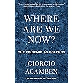 Where Are We Now?: The Epidemic as Politics