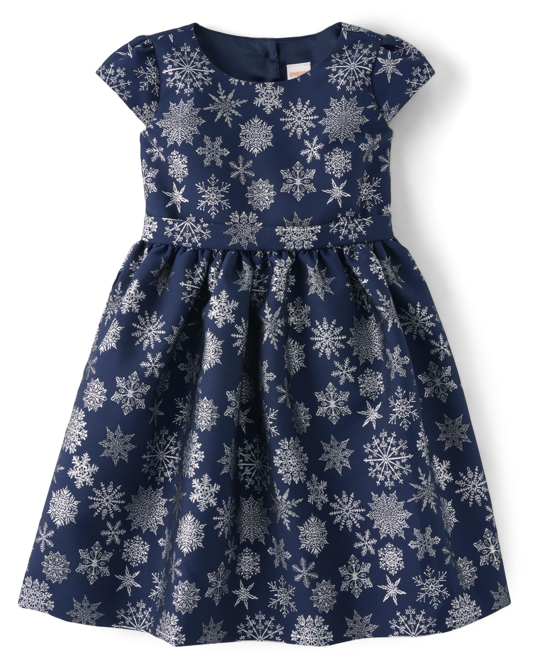 Gymboree,and Toddler Sleeveless Dressy Dresses,Blue Snowflake,4T