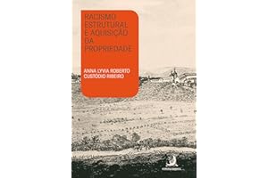 Racismo estrutural e aquisição da propriedade (Portuguese Edition)