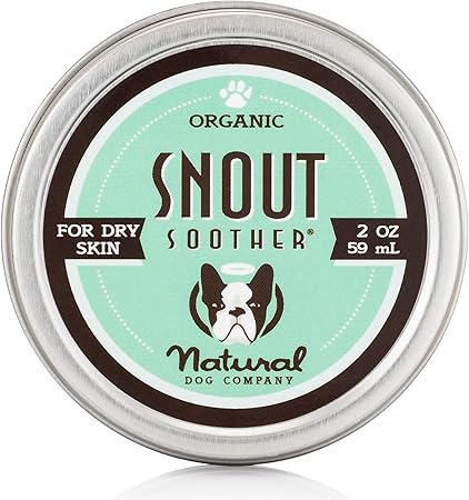 dog door double glazed glass