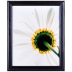 Craig Frames Wiltshire 236, Simple Black Hardwood