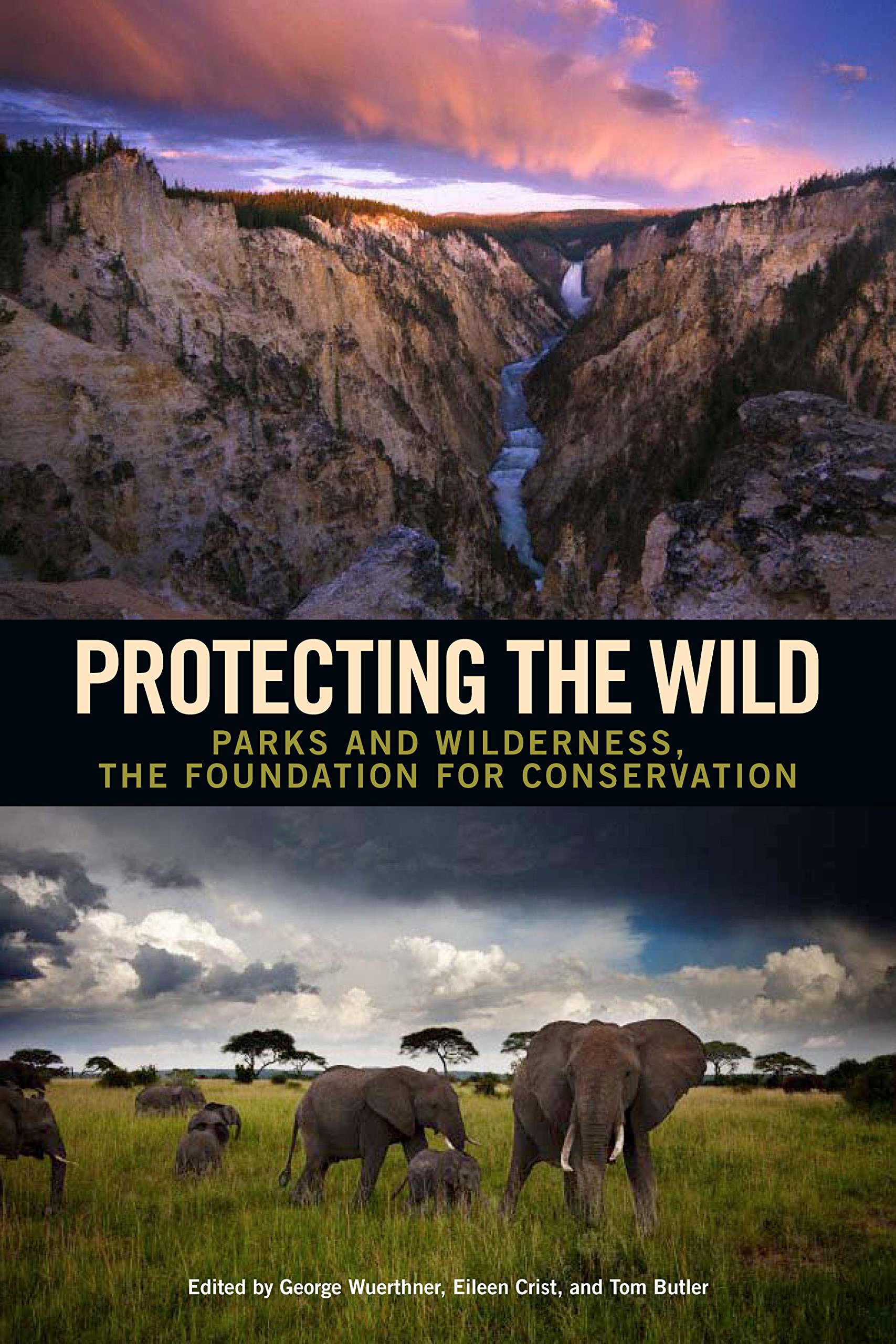 The cover of Protecting the Wild. There is an photo of a waterfall on the top and a photo of elephants on the bottom.