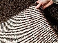 Review Image by Cat, Chris and Family