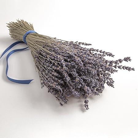 ROSEMARIE SCHULZ Heidelberg Getrockneter Lavendelstrauß Lavendel aus der Provence Lavendelbund
