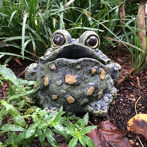 Toad Hollow Croaking Toad Statue in Oman Whizz Outdoor Statues