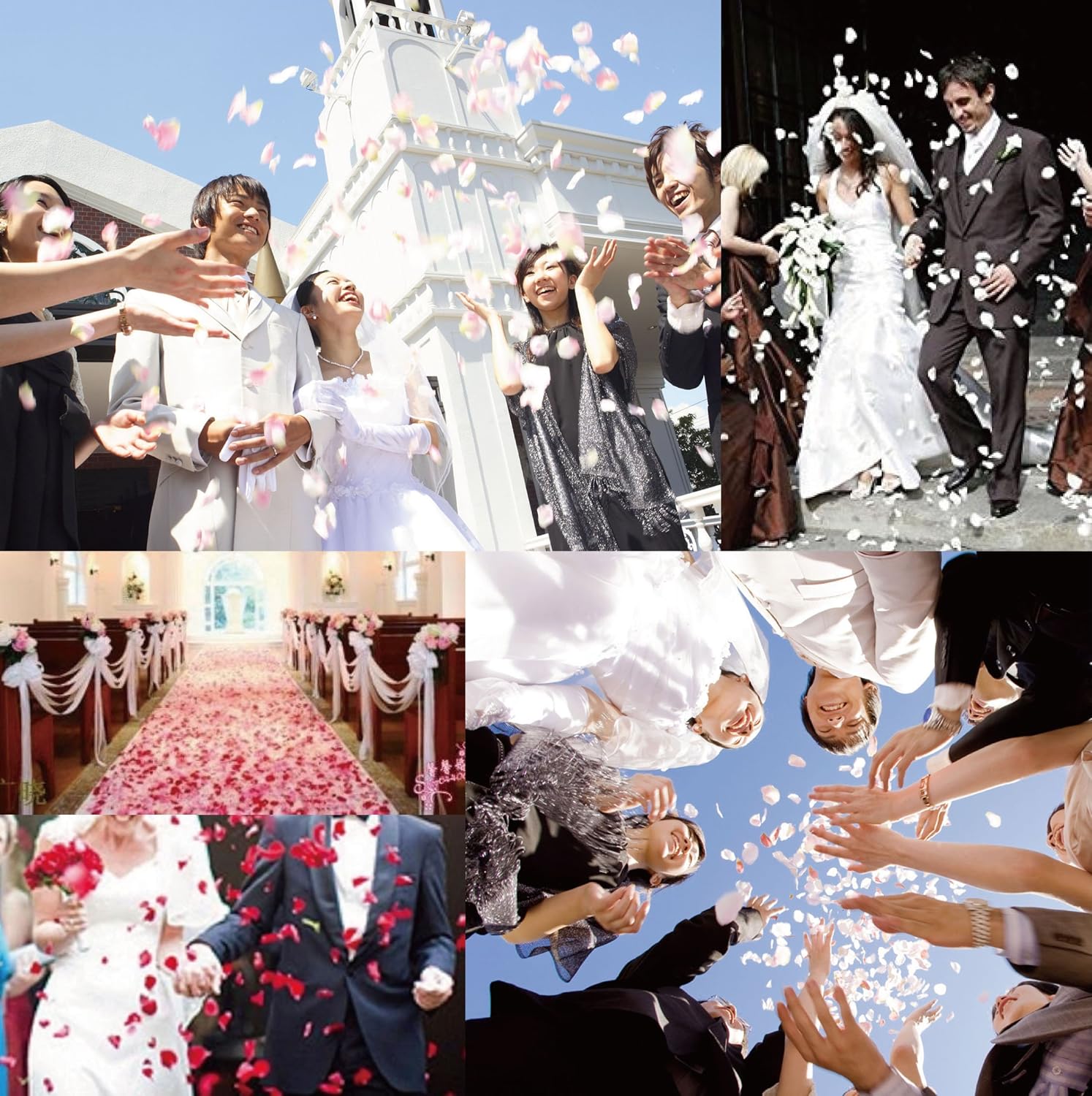 Amazon Co Jp フラワーシャワー 花びら 1200枚セット 結婚式 2次会 パーティー の演出に花びら ローズペダル 4色ミックス おもちゃ Amazon Co Jp フラワーシャワー 花びら 1200枚セット 結婚式 2次会 パーティー の演出に花びら ローズペダル 4色ミックス おもちゃ