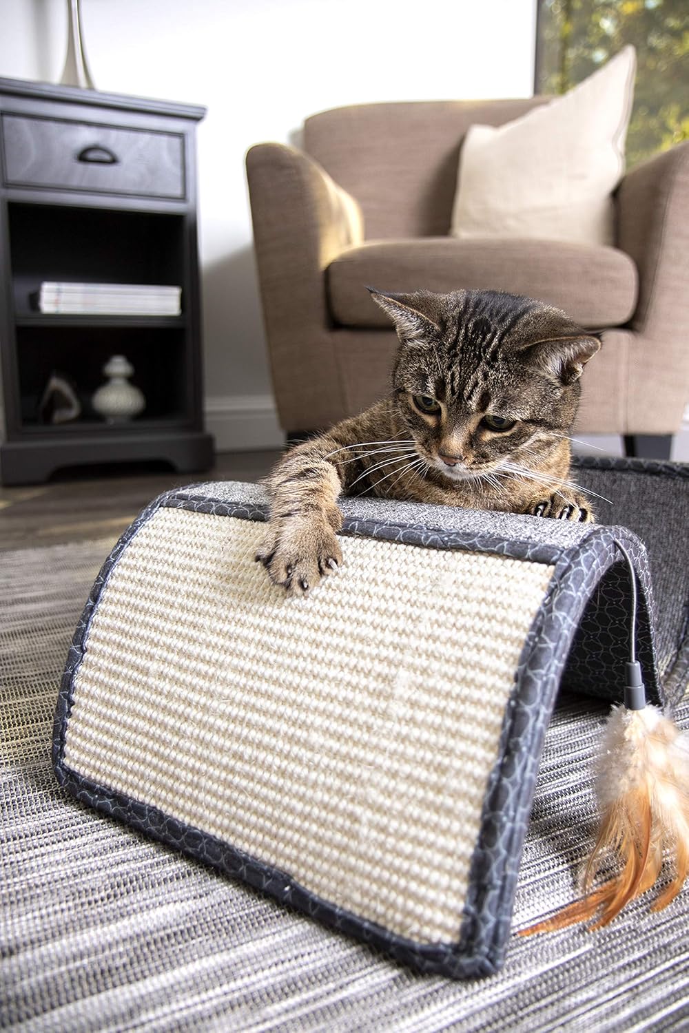 SmartyKat Scratch Scroll Cat Scratcher Carpet and Sisal Cat Furniture - Assorted colors : Scratching Pads : Pet Supplies
