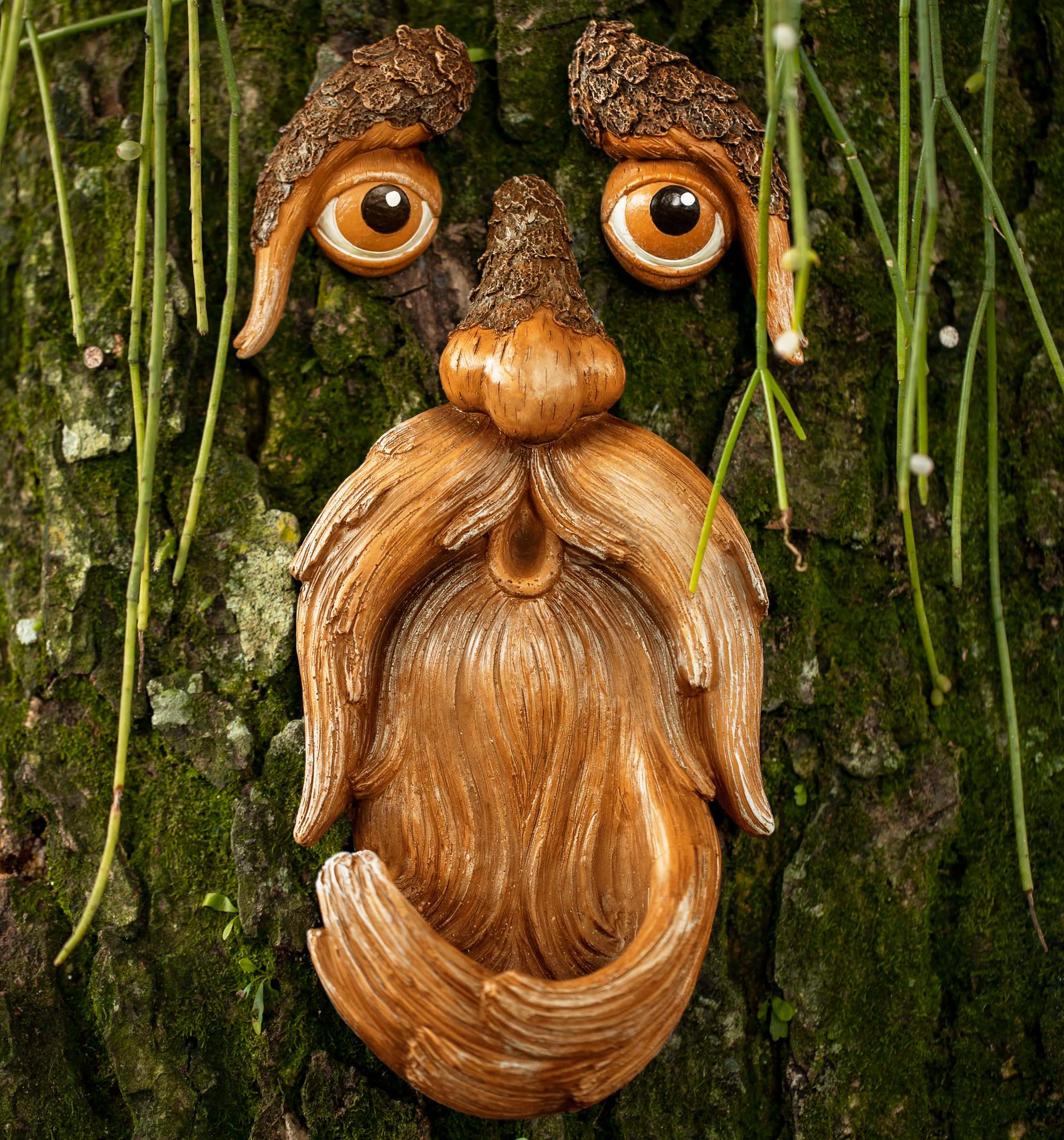 Photo 1 of Tree Face, Tree Faces Outdoor, Tree Art, Tree Decorations Outdoor, Tree Faces, Tree Stump Decor, Face for Tree Trunk, Outdoor Tree Decorations, Tree face Decor, Tree Faces Decor Outdoor, Tree Eyes