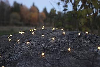 Best Season Dura String-Netz, circa 80 x 135 cm, 80 LED, Kabel, Verlängerte Batterielebensdauer Timer, Batterie, Outdoor, Vie